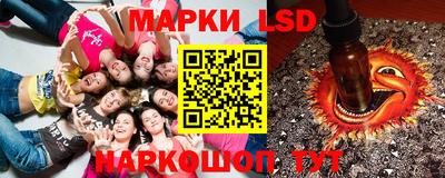 стаф Краснодар