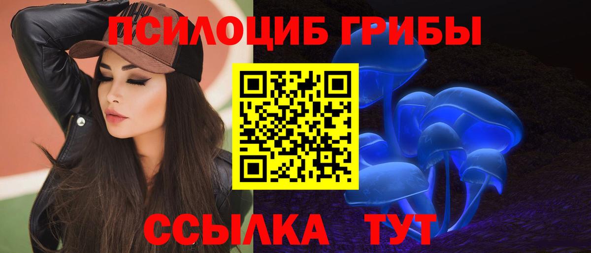 Псилоцибиновые грибы мухоморы Армавир